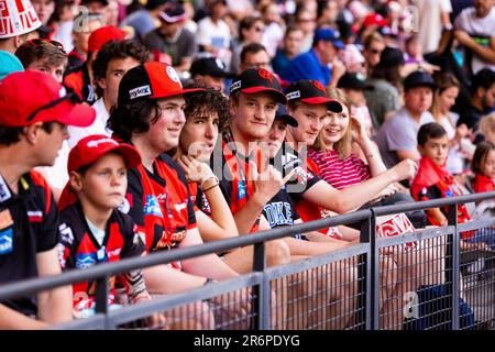 MELBOURNE, AUSTRALIE - 27 JANVIER : les fans de cricket lors du match de cricket de la Big Bash League entre les Renegades de Melbourne et Brisbane chauffent au stade Marvel sur 27 janvier 2020 à Melbourne, en Australie. Banque D'Images