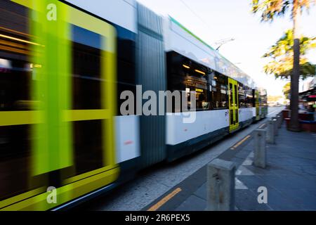 Le tramway 96 arrive à Acland Street, dépourvu de passagers en raison de la COVID 19 le 09 avril 2020 à Melbourne, en Australie. Banque D'Images