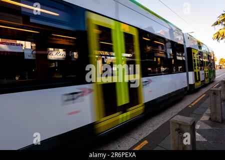 Le tramway 96 arrive à Acland Street, dépourvu de passagers en raison de la COVID 19 le 09 avril 2020 à Melbourne, en Australie. Banque D'Images