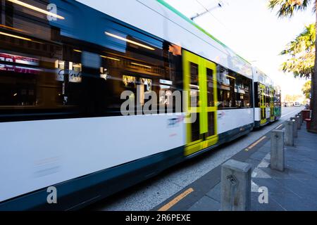 Le tramway 96 arrive à Acland Street, dépourvu de passagers en raison de la COVID 19 le 09 avril 2020 à Melbourne, en Australie. Banque D'Images