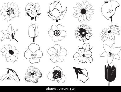 Collection d'illustrations EPS vectorielles lisses de différentes fleurs Illustration de Vecteur