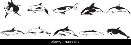 Collection of smooth vector EPS illustrations of various sharks Stock Vector