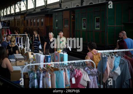 Madrid, Espagne. 10th juin 2023. Les visiteurs peuvent découvrir les produits d'un marché ferroviaire au Musée du train de Madrid, en Espagne, sur 10 juin 2023. Le marché ferroviaire est un événement traditionnel au Musée du train de Madrid. Au cours du deuxième week-end de chaque mois, des designers, des artisans et des artistes exposent et vendent leurs créations à l'événement. Credit: Meng Dingbo/Xinhua/Alay Live News Banque D'Images