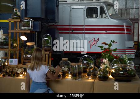 Madrid, Espagne. 10th juin 2023. Un visiteur regarde les produits d'un marché ferroviaire au Musée du train de Madrid, en Espagne, sur 10 juin 2023. Le marché ferroviaire est un événement traditionnel au Musée du train de Madrid. Au cours du deuxième week-end de chaque mois, des designers, des artisans et des artistes exposent et vendent leurs créations à l'événement. Credit: Meng Dingbo/Xinhua/Alay Live News Banque D'Images