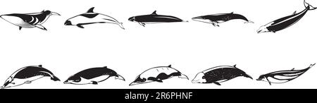 Collection d'illustrations EPS vectorielles lisses de divers requins Illustration de Vecteur