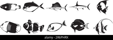 Collection d'illustrations EPS à vecteur lisse de divers poissons Illustration de Vecteur