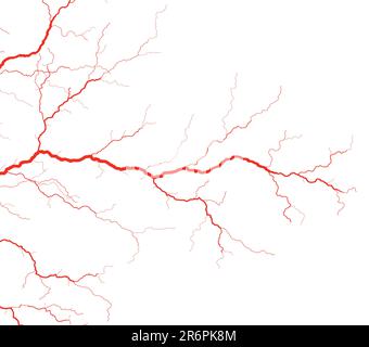 Illustration vectorielle modifiable des vaisseaux sanguins rouges Illustration de Vecteur