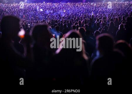 Porto, Portugal. 10th juin 2023. Les fans assistent au concert du groupe de rock anglais New Order, qui se produit sur scène au Primavera Sound. Crédit : SOPA Images Limited/Alamy Live News Banque D'Images