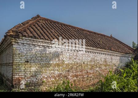 09 01 2008 Tiles de toit en argile traditionnelle d'époque et Brickwall Village House près de Chhapaïya Uttar Pradesh Inde Asie. Banque D'Images