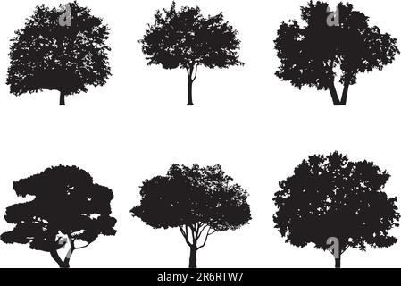 Silhouette d'un arbre. Des images similaires peuvent être trouvées dans ma galerie. Illustration de Vecteur