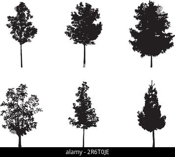 Silhouette d'un arbre. Des images similaires peuvent être trouvées dans ma galerie. Illustration de Vecteur