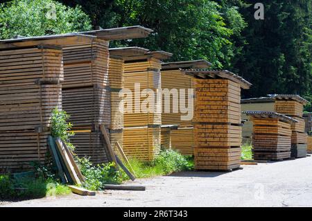 Scierie près de Freudenstadt dans la Forêt Noire, Bade-Wurtemberg, Allemagne Banque D'Images