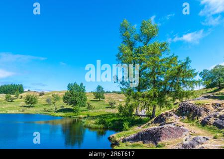 Moss Eccles tarn sur Claife Heights, Far Sawrey, Cumbria Banque D'Images