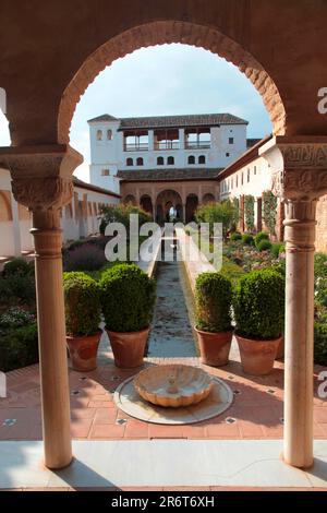 Patio de la Acequia dans le Generalife, Grenade Espagne Banque D'Images