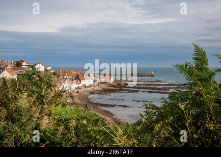 PITTENWEEM, IFOP, ÉCOSSE - AOÛT 13 : vue de Pittenweem à Fife, Écosse, le 13 août 2010. Personnes non identifiées Banque D'Images