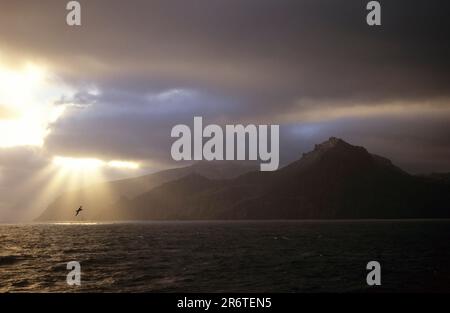 Montagnes côtières, terres australes et antarctiques françaises, France Banque D'Images