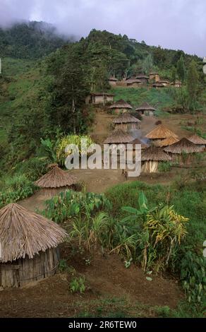 Serkasi, Yali Village, Papouasie occidentale, Nouvelle-Guinée occidentale, Irian-Jaya, Indonésie Banque D'Images