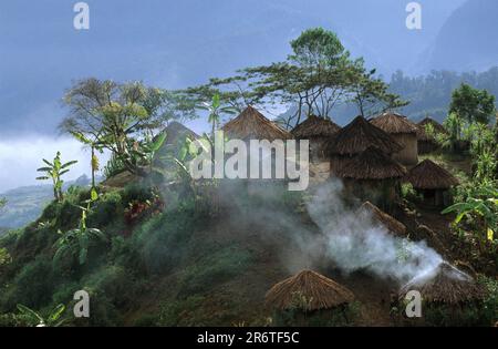 Serkasi, Yali Village, Papouasie occidentale, Nouvelle-Guinée occidentale, Irian-Jaya, Indonésie Banque D'Images