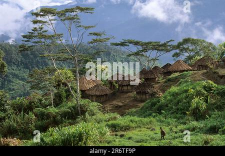 Serkasi, Yali Village, Papouasie occidentale, Nouvelle-Guinée occidentale, Irian-Jaya, Indonésie Banque D'Images