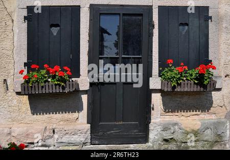 Porte en bois avec volets en bois, fleurs à l'extérieur de la fenêtre, géraniums rouges dans la boîte, Pelargonium Banque D'Images