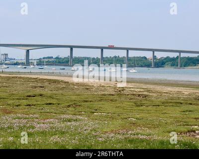 Freston, Ipswich, Suffolk - 11 juin 2023 : rives d'Orwell en direction du pont d'Orwell. Banque D'Images