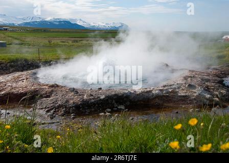 Source chaude, Hveravellir, zone géothermique, route 87, proche de rein, Islande Banque D'Images
