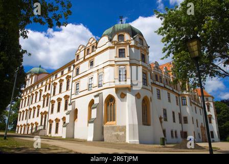 Château, construit en 1292, celle, Basse-Saxe, Allemagne, Château de Guelph, château ducal Banque D'Images