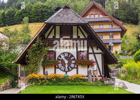 TRIBERG, ALLEMAGNE - 2 SEPTEMBRE 2019 : vue sur la plus ancienne horloge à coucou du monde dans le village de Triberg à Baden-Wuerttemberg, Allemagne Banque D'Images