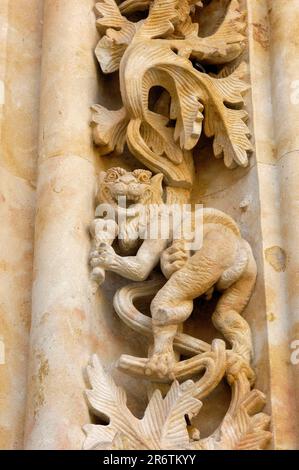 Relief, façade de l'ancienne cathédrale, Salamanque, Castilla y Leon, Espagne Banque D'Images