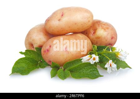 Tas de pommes mûres avec légumes feuilles vertes isolé sur fond blanc Banque D'Images