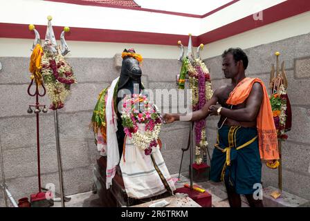 Le prêtre Poojari adorant la divinité de gardien. Temple de gardien de village à Moolankudi, Pudukkottai, Tamil Nadu, Inde du Sud, Inde, Asie Banque D'Images