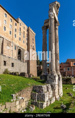Le Forum romain situé au centre de l'ancienne ville de Rome vu du Mont Palatin, Rome, Italie Banque D'Images