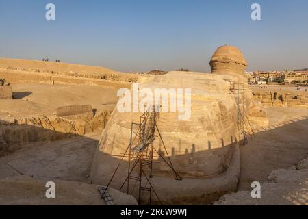 Vue arrière du Grand Sphinx de Gizeh, le Caire Banque D'Images