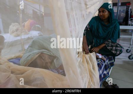 Les populations bangladaises souffrent de la dengue reçoivent un traitement médical à l'hôpital, à Dhaka, au Bangladesh, sur 11 juin 2023. L'infection par la dengue a augmenté cinq fois depuis le 1 janvier jusqu'au 31 mai de cette année au Bangladesh. Les enfants âgés de moins de 15 ans souffrent le plus de la dengue. Les taux d'infection par la dengue sont généralement élevés pendant la mousson et dans les bidonvilles. Quatre variations de ce virus ont été identifiées. S'il est infecté par plus d'une variation ou pour la deuxième fois, la gravité de l'infection est beaucoup plus intense. Puisque de nombreux enfants sont diagnostiqués avec la dengue pour la seconde Banque D'Images