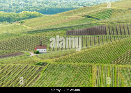 Eichert Kapelle dans le vignoble au printemps. Sasbach am Kaiserstuhl, Emmendingen Bade-Wurtemberg, Allemagne, Europe. Banque D'Images