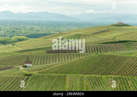 Eichert Kapelle dans le vignoble au printemps. Sasbach am Kaiserstuhl, Emmendingen Bade-Wurtemberg, Allemagne, Europe. Banque D'Images