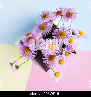 Composition estivale lumineuse de fleurs d'erigeron sur un fond multicolore. Concept d'été. Bouquet de fleurs pour les vacances Banque D'Images
