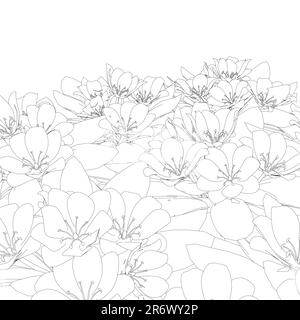 Contour de l'herbe avec des herbes et des fleurs sauvages. Silhouette vectorielle isolée de prairie florale. Bordure horizontale. Contour fleurs et herbes isolées sur blanc Illustration de Vecteur