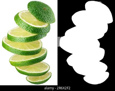 Agrumes en tranches de citron vert isolés sur fond blanc. Tranches de chaux avec masque de coupure (canal alpha) pour une isolation rapide. Profondeur de champ complète. Banque D'Images