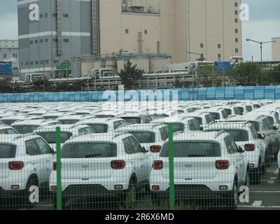 Rangées de voitures Hyundai, le modèle lieu en blanc, en attente d'exportation sur le quai du port d'Ulsan en Corée du Sud. Banque D'Images