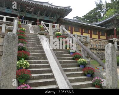 Lotus Flower et Seven Treasures Bridge: Les deux vols de marches en pierre menant à la porte Anywangmun ou Paradise Gate au temple bouddhiste de Bulguksa. Banque D'Images