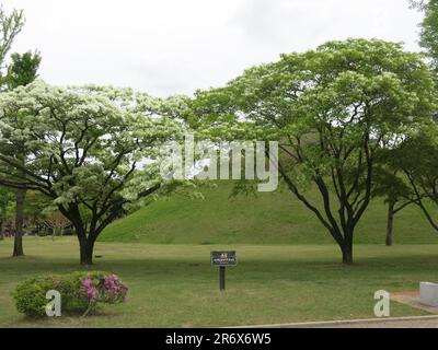 Tumuli Park, Gyeongju: Les hilares herbeuses caractéristiques qui sont les chambres de sépulture royale de la dynastie Silla en Corée du Sud. Banque D'Images