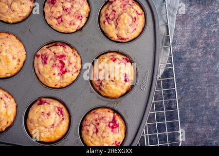 Muffins aux framboises fraîchement cuits dans un moule à muffins antiadhésif : muffins au petit déjeuner ou au dessert préparés avec des fruits directement vus du dessus dans un moule à muffins Banque D'Images