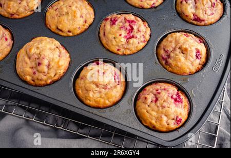 Muffins aux framboises fraîchement cuits dans un moule à muffins antiadhésif : muffins au petit déjeuner ou au dessert préparés avec des fruits sous un angle élevé dans un moule à muffins Banque D'Images