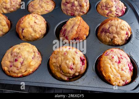 Muffins aux framboises fraîchement cuits dans un moule à muffins antiadhésif : muffins au petit déjeuner ou au dessert préparés avec des fruits sous un angle élevé dans un moule à muffins Banque D'Images