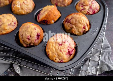 Muffins aux framboises fraîchement cuits dans un moule à muffins antiadhésif : muffins au petit déjeuner ou au dessert préparés avec des fruits sous un angle élevé dans un moule à muffins Banque D'Images