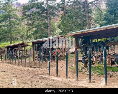 L'équitation est capturée dans le corral et les enclos après une journée de voyage et de randonnée. Prendre soin des chevaux et de l'équipement prend l'organisation. Banque D'Images