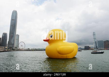 Le Duck en caoutchouc de Florentijn Hofman revient à Hong Kong. Banque D'Images