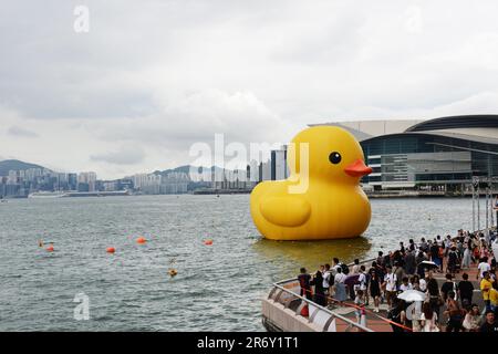Le Duck en caoutchouc de Florentijn Hofman revient à Hong Kong. Banque D'Images