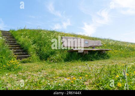 Par temps ensoleillé, ce beau banc en bois se dresse parmi les fleurs de la nature Banque D'Images